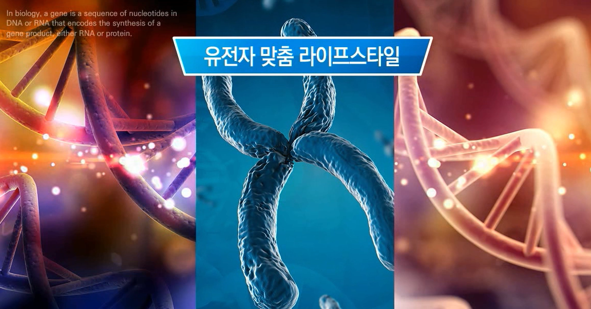 교육과정사진